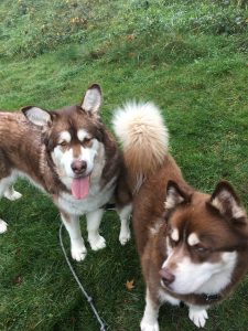 Alpha and Ember
