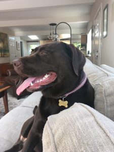 Lucy